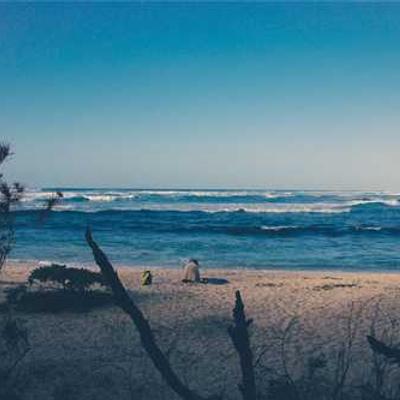 Culpa qui voluptate quo dicta repudiandae quis.