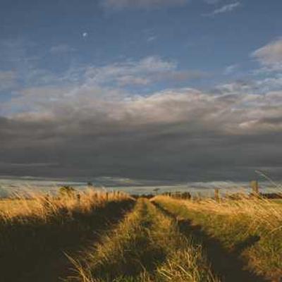 Voluptatem beatae quo commodi ducimus reiciendis.