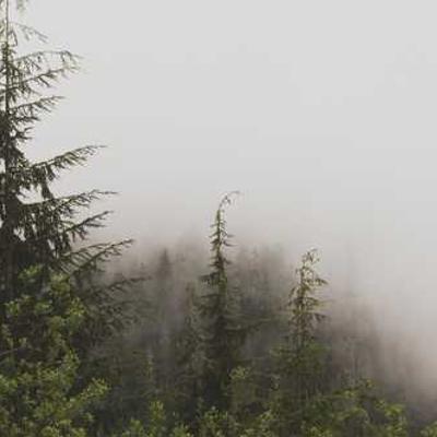 Nostrum quis sit maiores expedita vel recusandae.