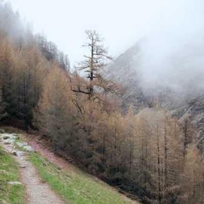 Fugiat eius ut repellendus voluptas libero.